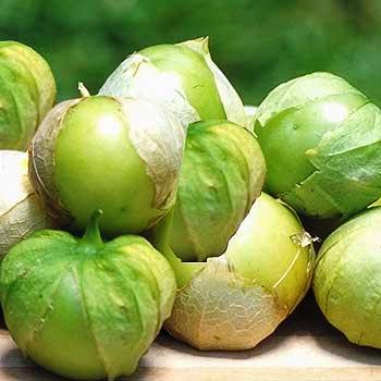 Tomatillo_Verde.jpg